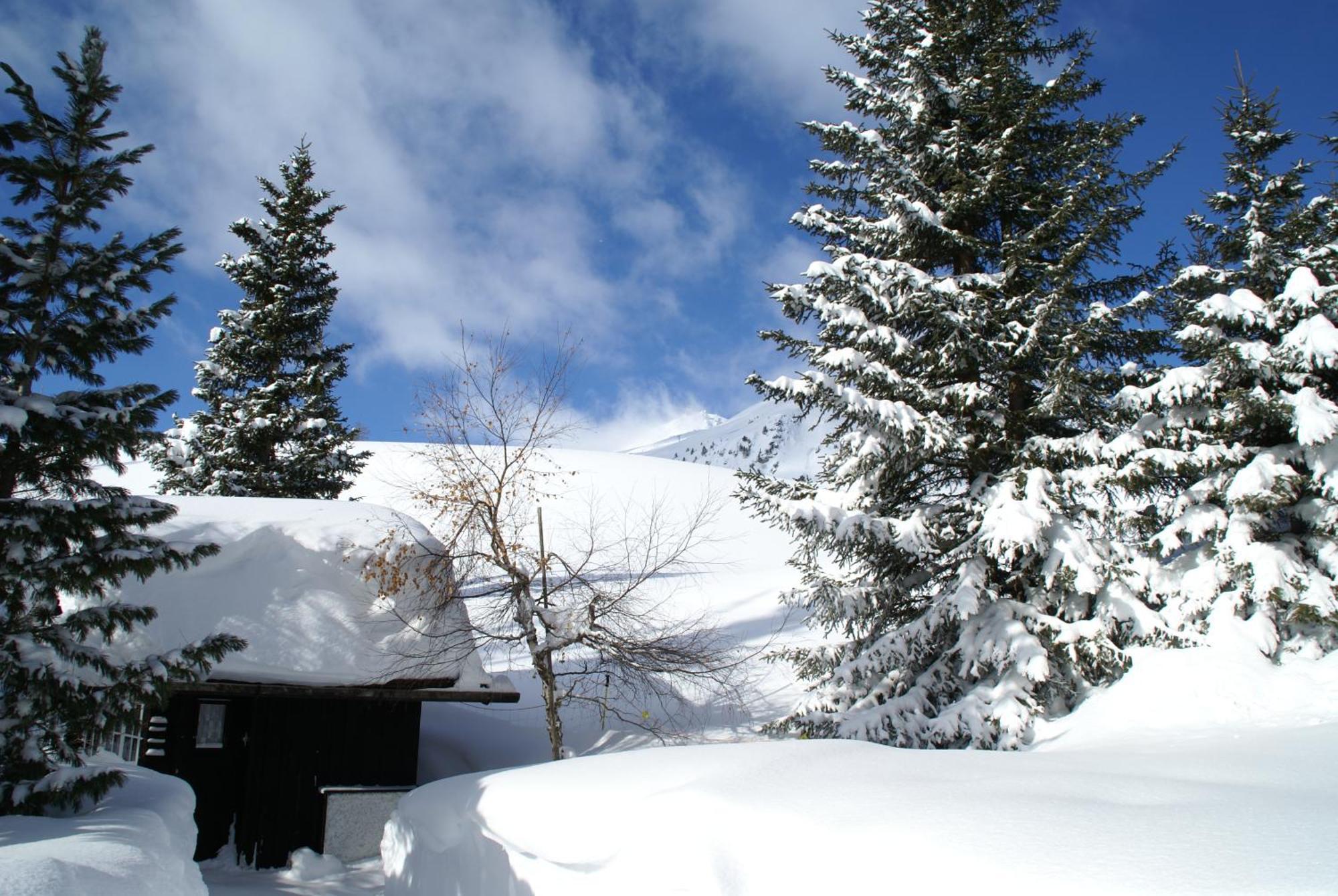 Chalet Baur Arosa Esterno foto